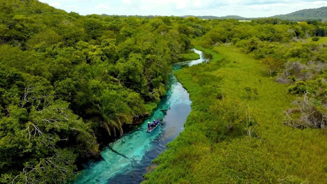 Ecotourism Image from Unsplash - A river running through a lush green forest